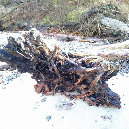 Apartament Apartmentanlage-villa-granitz In Goehren (Ruegen)